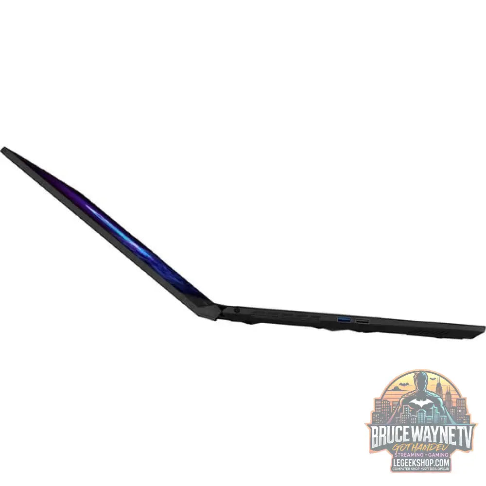 MSI Katana A17 AI B8VF-866, Gaming-Notebook - vue 14