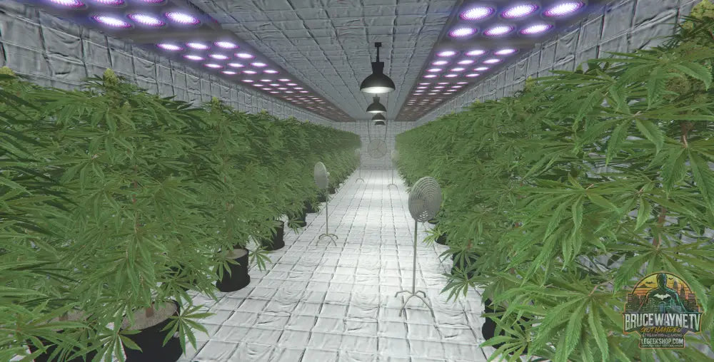 Quartier — FiveM MLO, vue 7, LeGeekShop