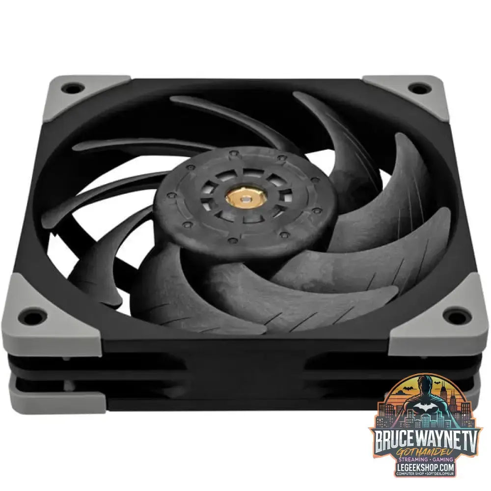 SilverStone Hailstone 360, Wasserkühlung schwarz - SilverStone - vue 8