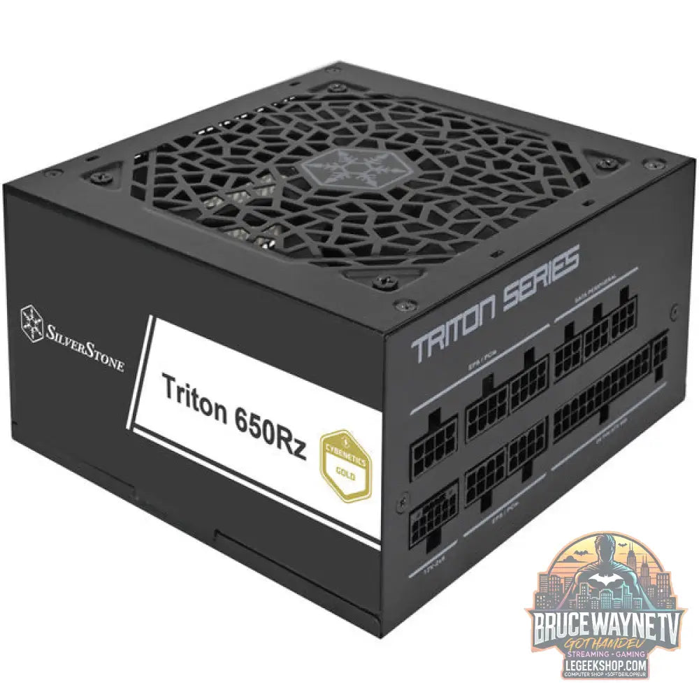 SilverStone Triton 650Rz, alimentation PC - SilverStone - vue 8