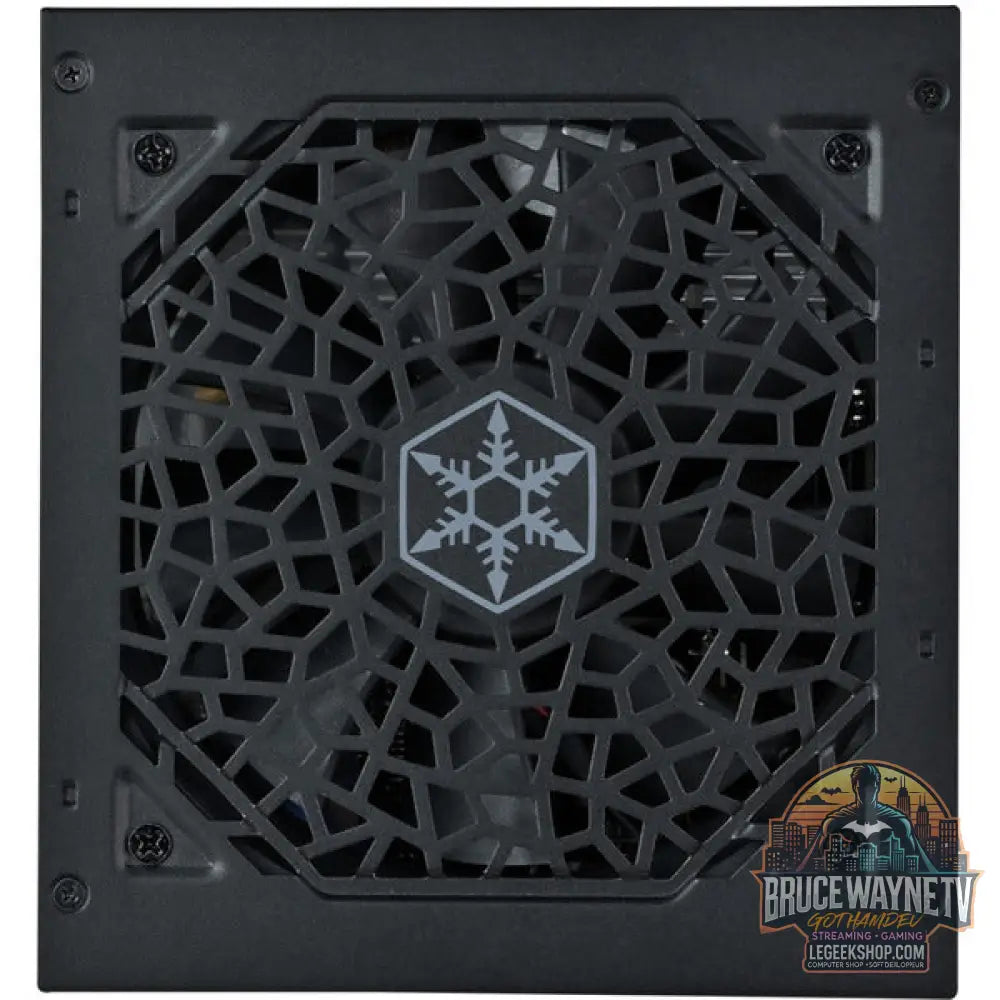 SilverStone Triton 650Rz, alimentation PC - SilverStone - vue 6