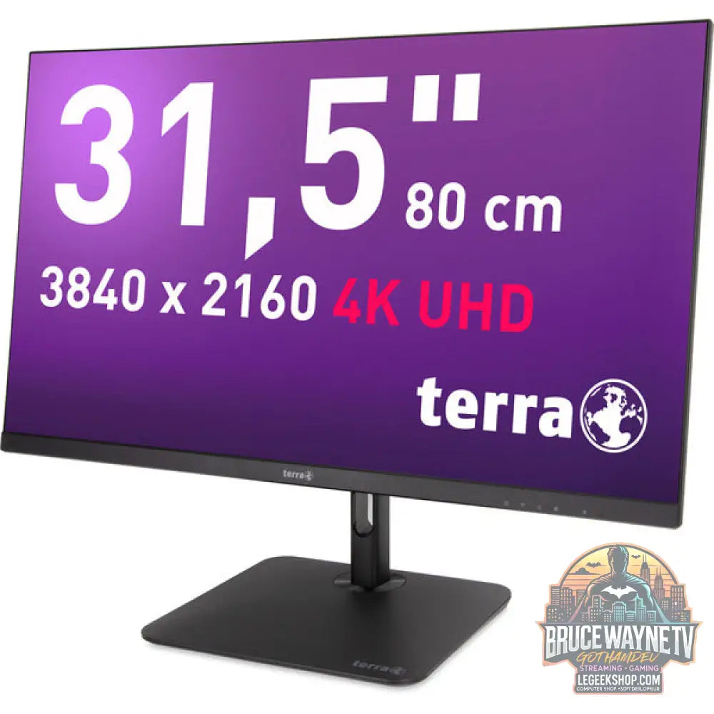 TERRA 3295W PV 31,5" 3840 × 2160 px IPS 60 Hz - TERRA - vue 2