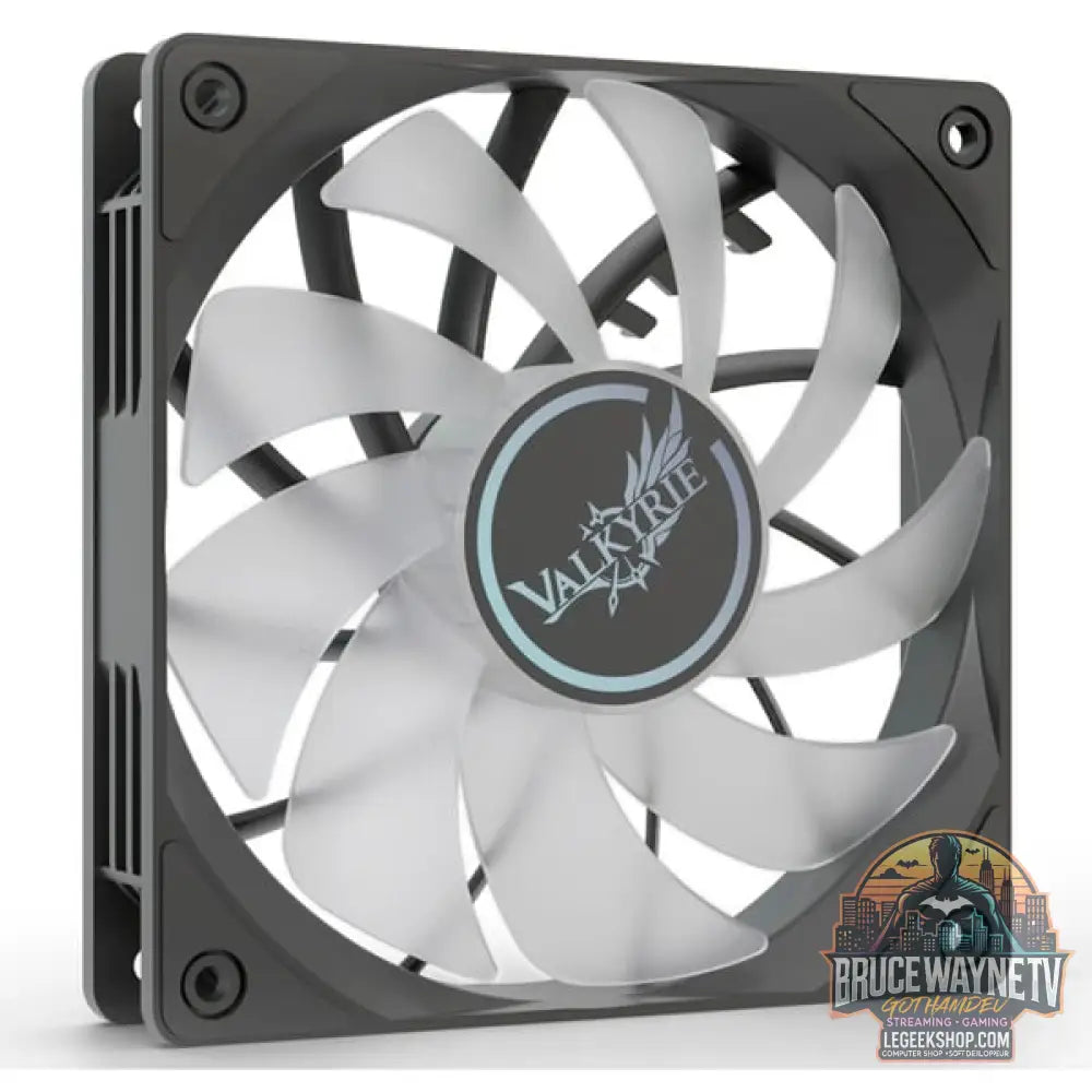 Valkyrie V12R ARGB 120, Gehäuselüfter - Valkyrie - vue 2